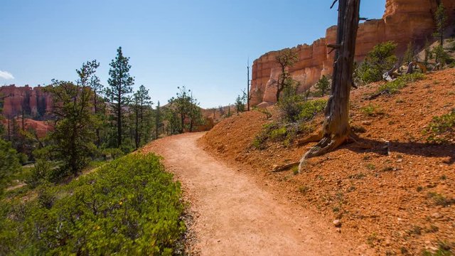 Walk along the path in the fir forest. Green pine-trees on rock slopes. Video in motion. Nature video. Amazing mountain landscape. Bryce Canyon National Park. Utah.USA. 4K, 3840*2160, high bit rate