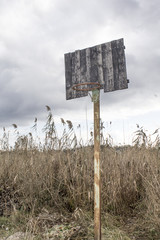 Old basketball backboard and basket. Deserted basketball backboard on a background of trees.