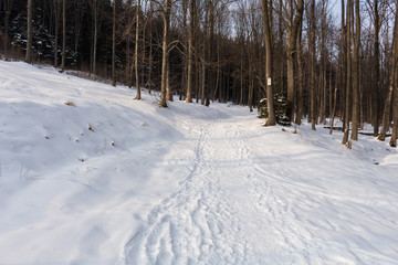 Photo of snowy landscape with blue sky and road in winter