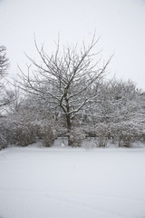 Fototapeta premium Winter images from Malmö Skåne Sweden