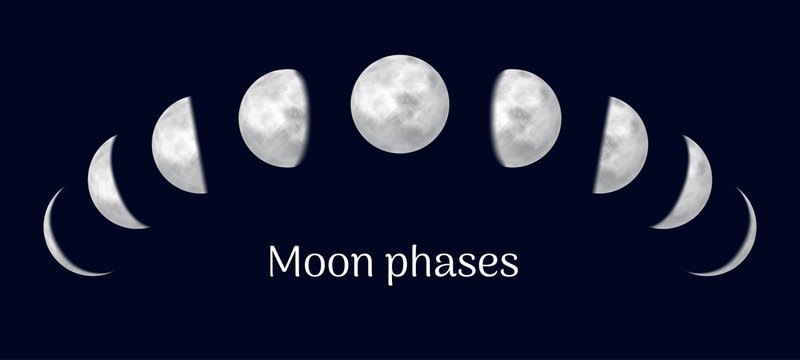 Realistic lunar calendar contains all months. Scheduler with moon. Gradual lunar eclipse, presentation of species of earth satellite. Vector illustration of space event