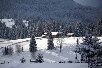 Obraz na płótnie Canvas Winter in the mountains