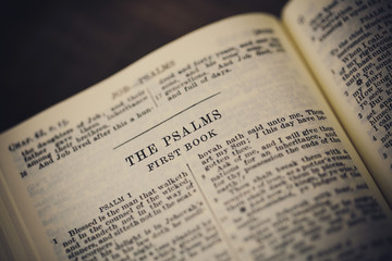 Psalms scripture in the holy bible