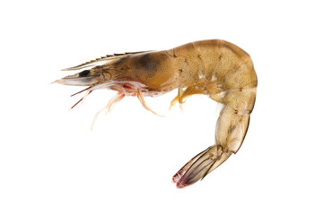 Fresh raw seafood shrimp isolated on white background