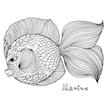 Vector hand drawn fairy fantastic sea fish. Ornamental weave fish graphic illustration tattoo. Coloring page patterned marine fish.