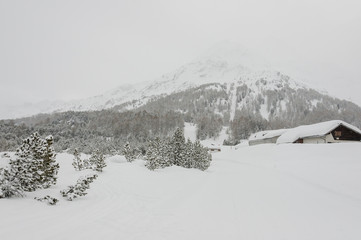 Maloja, Dorf, Engadin, Oberengadin, Malojapass, Winter, Wintersport, Langlauf, Winterwanderweg, Alpen, Graub&uuml;nden, Schweiz