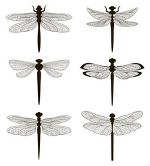 Set of silhouettes of dragonflies - 195713118