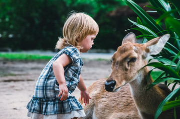 little girl stroking a deer in the forest