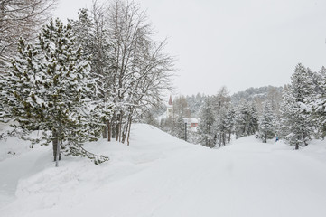 Maloja, Dorf, Engadin, Oberengadin, Chiesa Bianca, Kirche, Engadiner Dorf, Winter, Winterwanderweg, Wintersport, Langlauf, Alpen, Graubünden, Schweiz