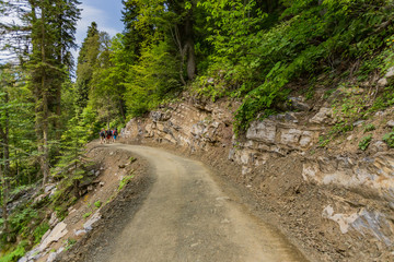 mountainous road
