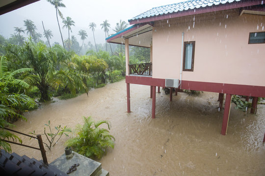 Flooded street with palm trees and house, island Koh Phangan, Thailand