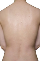 Spine on a white background