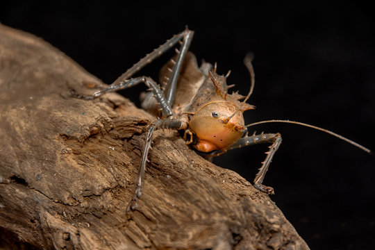 Hovuzda sikish Bulletin dan porno videolar va filmlar