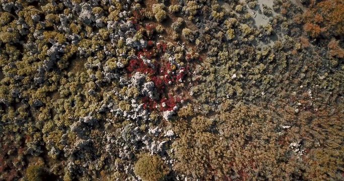 Mono lake 4K drone shots