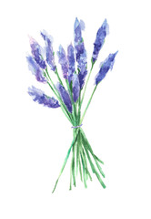 Watercolor lavender bouquet
