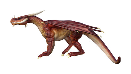 Obraz premium 3D Rendering Fantasy Dragon on White