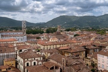 Fototapeta na wymiar Aerial view of the center of Lucca, Tuscany, Italy from Guinigi Tower