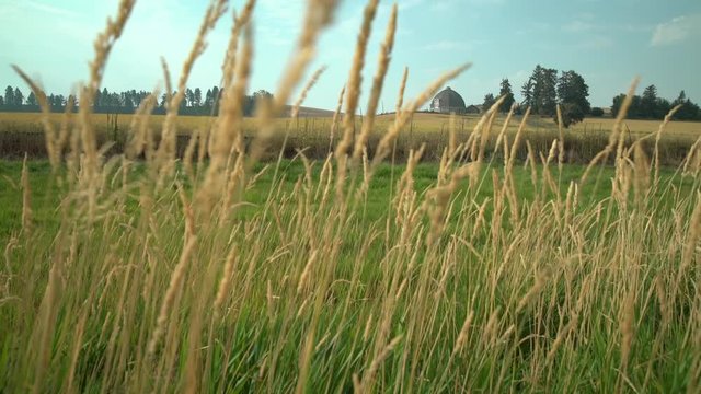 Rustic Round Barn, Palouse, Washington 4K. UHD. A round barn in Washington State, USA. 4K, UHD,
