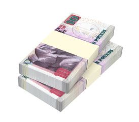Egyptian pounds isolated on white with clipping path. 3D illustration.