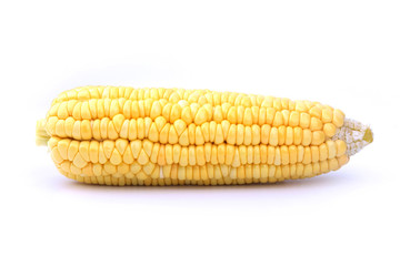 Corn peeled isolated on white background