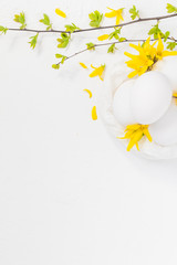 White eggs white background forsythia flowers green twigs