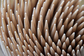 unbenutzte Zahnstocher aus hellem Holz gefertigt in Nahaufnahme 