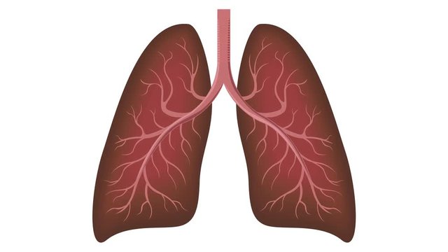 good and smoker lung graphic animation