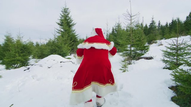 Santa Claus walking in the forest
