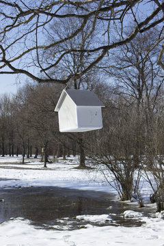 House-feeder hanging from a tree