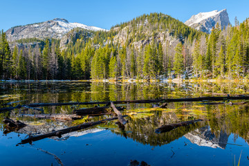 Nymph Lake, Rocky Mountains, Colorado, USA.