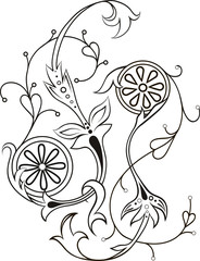 Design element of flowers. Floral ornament of an orange on a white background.
