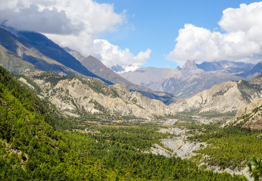 Sharp grey mountains  amongst alpines with a snow capped mountain peaking through clouds