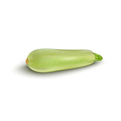 Squash vegetable marrow zucchini isolated on white