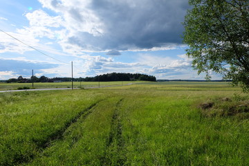 Grassy Road