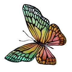 Illustration of a watercolor butterfly with a black outline.