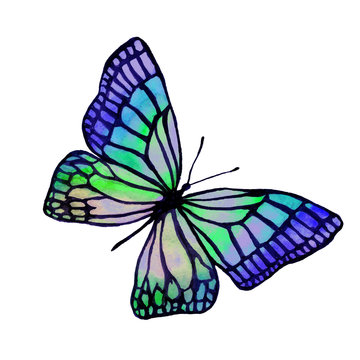 Illustration of a watercolor butterfly with a black outline.