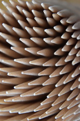 Zahnstocher mit low-key-Effekt