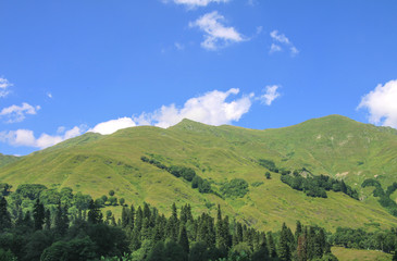 Picturesque natural sunny landscape of green alpine meadows