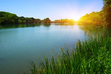 Abwaschbare Fototapete See / Teich Seewasser und Sonne