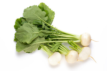 Fresh white round turnip radish on white background.