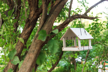 White wooden bird feeder hanging on a branch of green tree. Nature care concept.