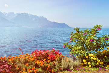 Flowers blossoming in embankment of Geneva Lake summer Montreux
