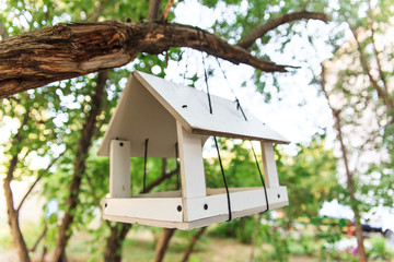White wooden bird feeder hanging on a branch of green tree. Nature care concept.
