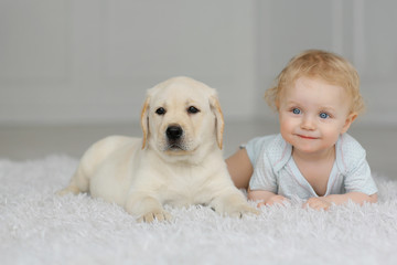 Little girl with puppy