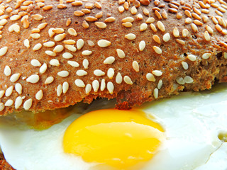 Hamburger with quail eggs. Rye bun with sesame. Close up. Fresh hot bun with fried quail eggs.