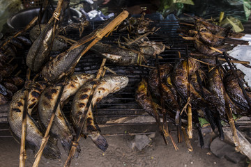 nature, animal, travel, brown, wild, background, old, wildlife, natural, farm, little, wood, food, fire, seafood, campfire, heat, hot, crustacean, flame