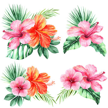 Watercolor set of floral tropical natural elements.