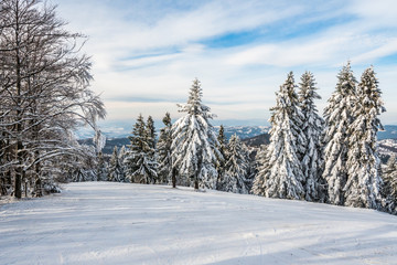 Velka Raca - Slovakia