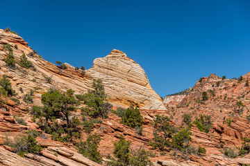 Fototapeta premium Landscape in Zion National Park