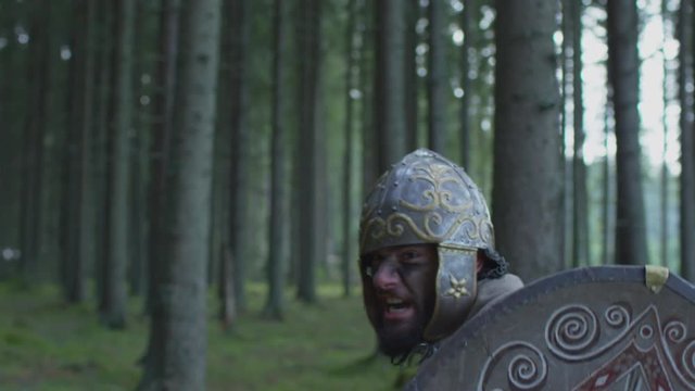 Close up of a warrior fighting